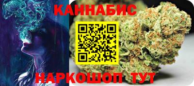 индика Обь