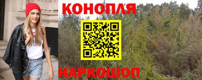 индика Обь
