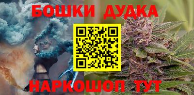 индика Обь