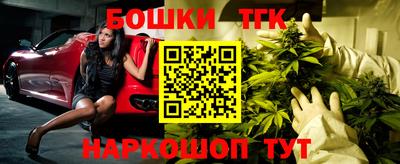 индика Обь